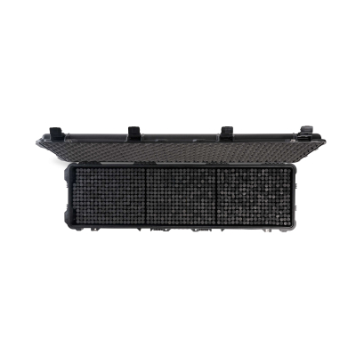 1750-RESET Protector